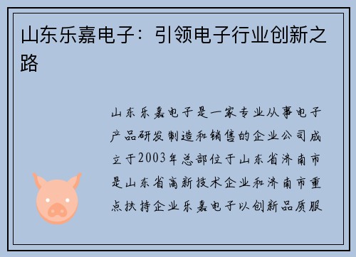 山东乐嘉电子：引领电子行业创新之路