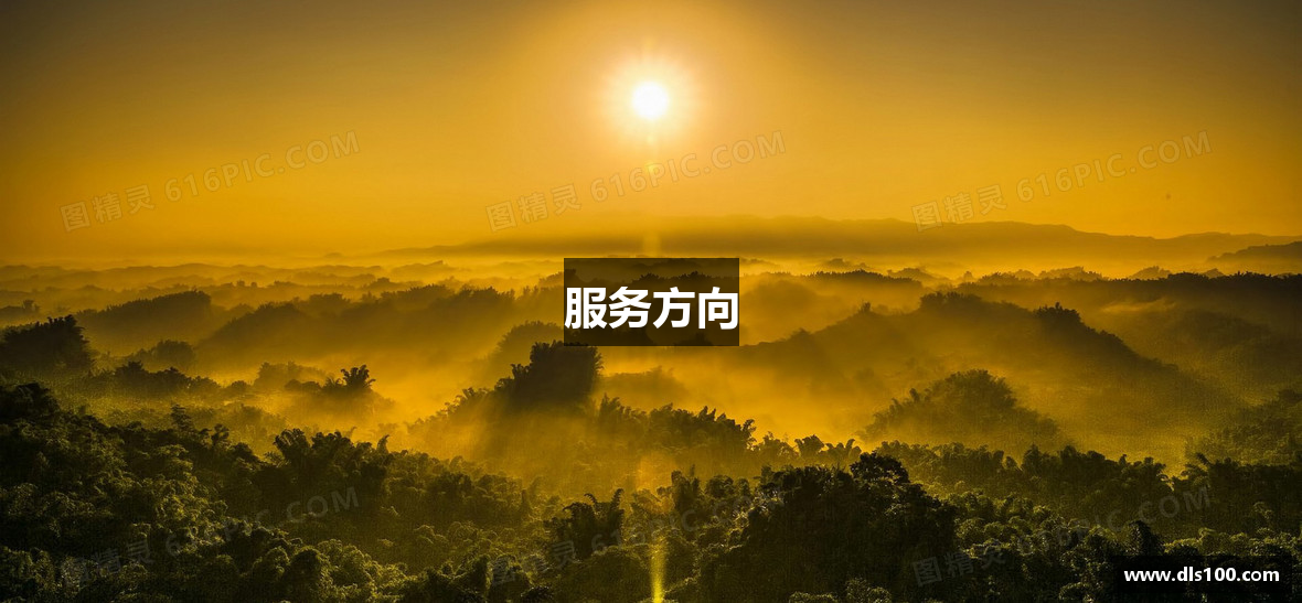 服务方向
